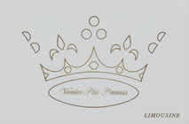 Vanden Plas Princess Limousine 1966 brochure cover